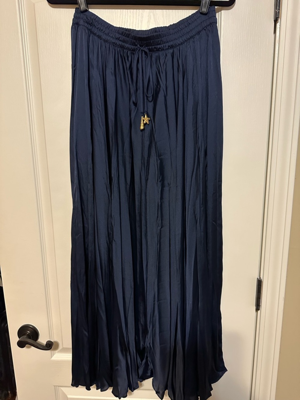 Zara Navy Pleated Maxi Skirt with Gold Tassel